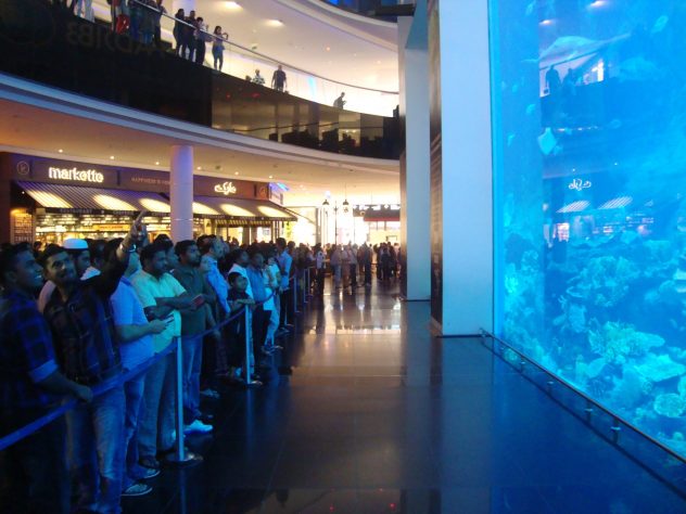 Dubai Aquarium free