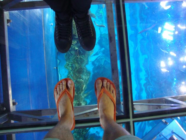 Dubai Aquarium from above