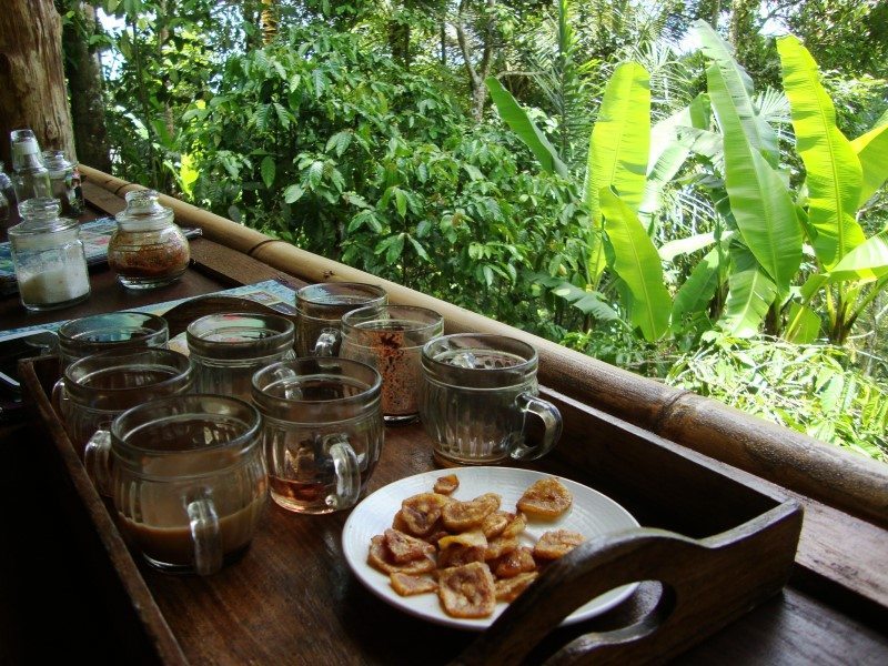Luwak coffee Bali