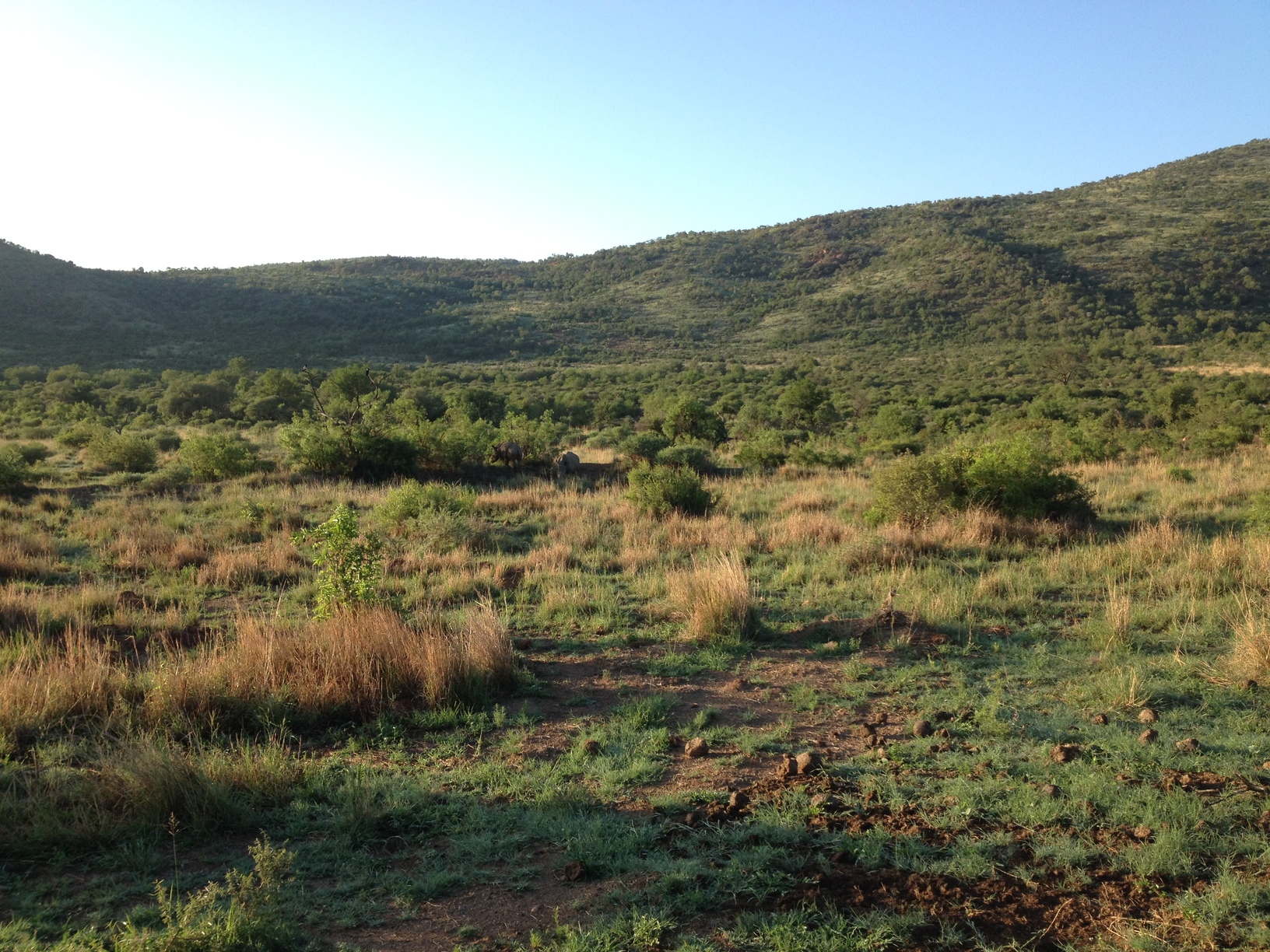pilanesberg_safari
