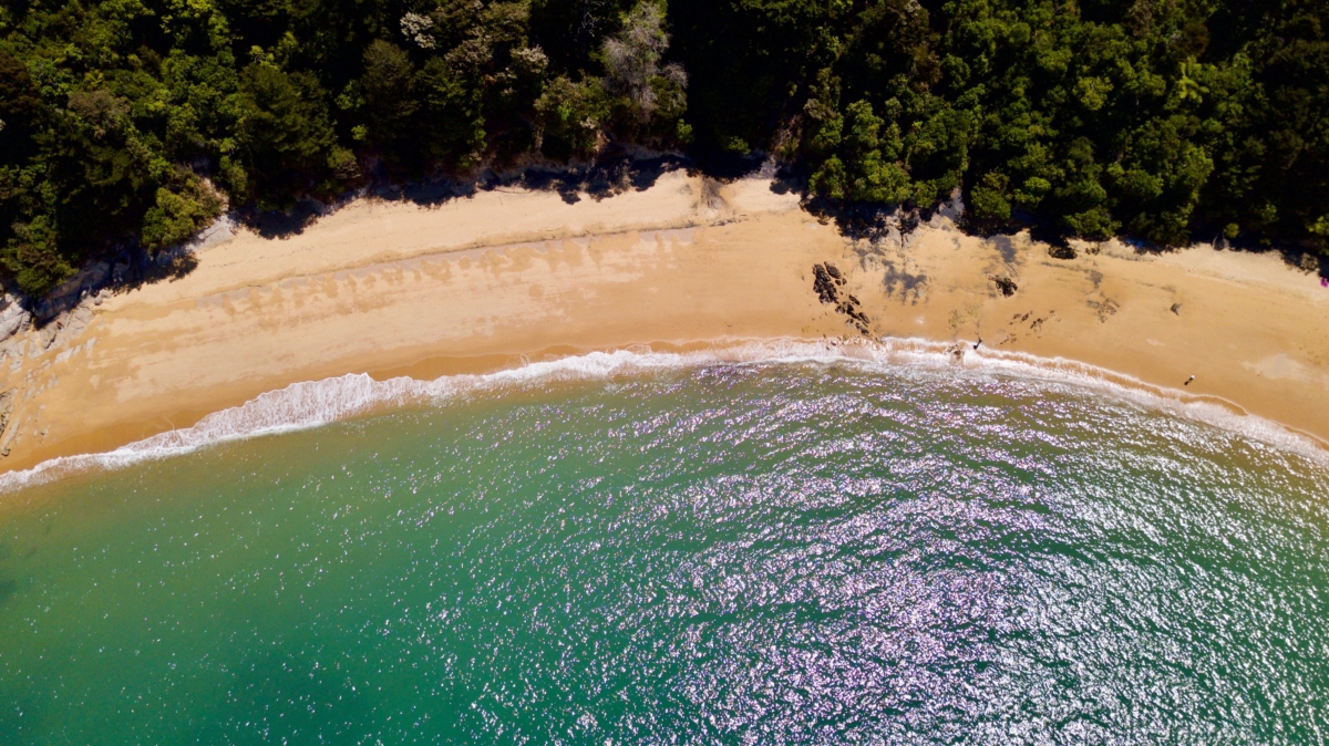 novy zeland fotografie