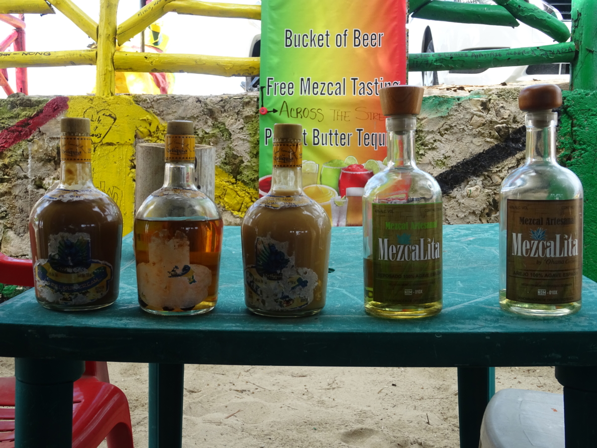 mexická tequila