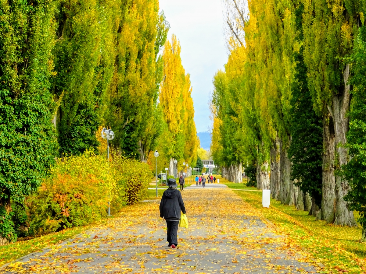 Mestský park Piešťany