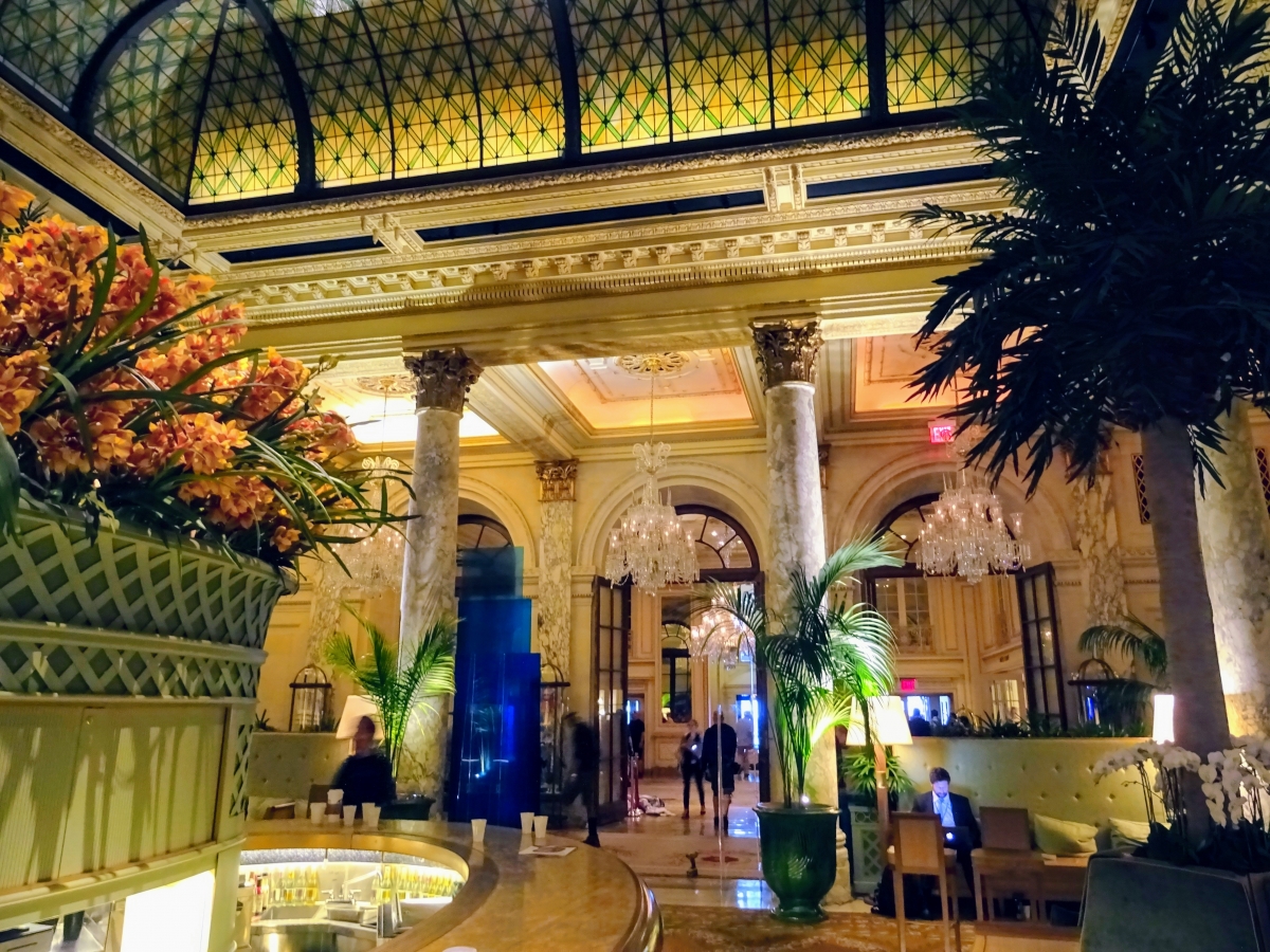 hotel plaza návšteva new york
