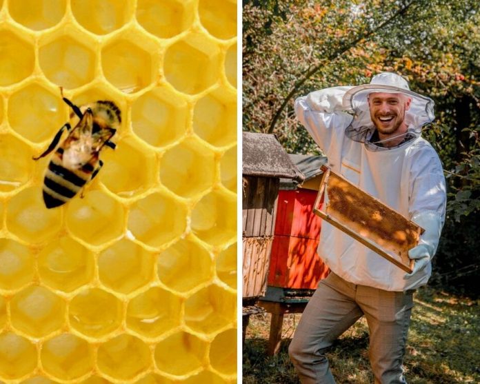 ako chovať včely