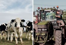 Farmári vo Važci vedia, ako robiť ekologické poľnohospodárstvo