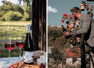 Tieto slovenské ovocné vína nám v zahraničí závidia, chutia ako domáce