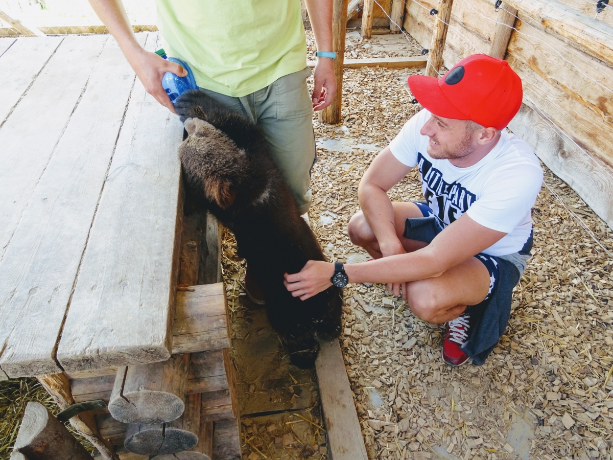 V ZOO kontakt majú aj medvede.
