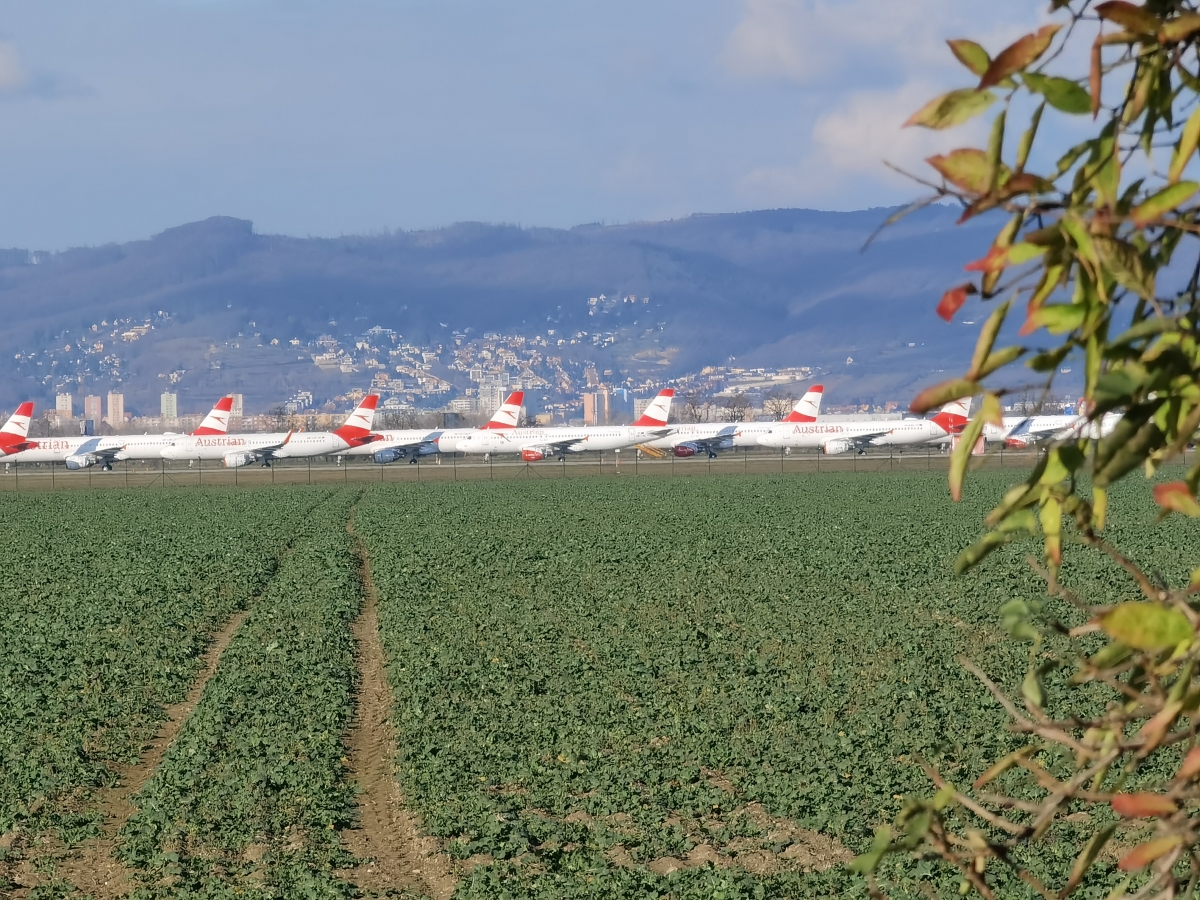 Parkovanie lietadiel Austrian airlines na letisku v Bratislavy počas pandémie koronavírusu.