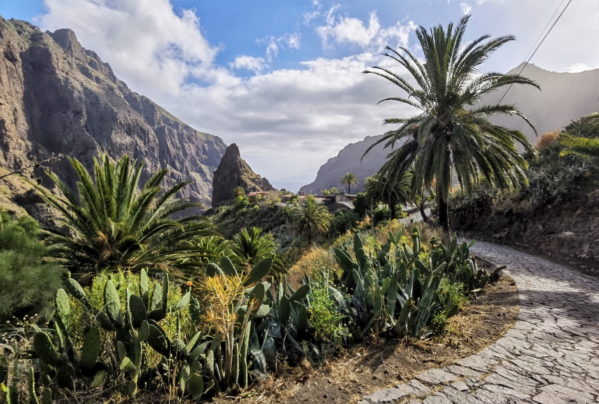 Návšteva Masca na Tenerife.