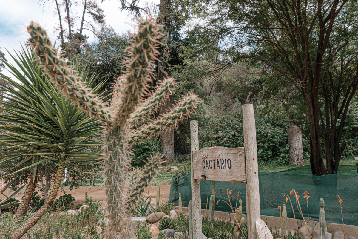 Botanická záhrada vo Viña Del Mar